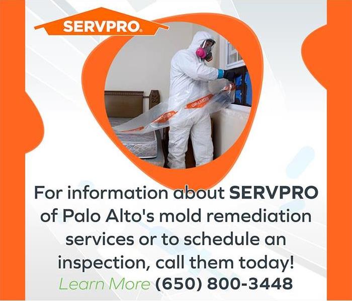 SERVPRO professional in protective gear inspecting or cleaning an area affected by mold